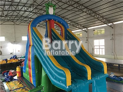 Factory Price Inflatable Swimming Pool Frog Water Slide For Sale BY-WS-097